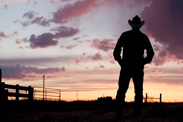 silueta de vaquero - cowboy hat hat wild west isolated fotografías e imágenes de stock