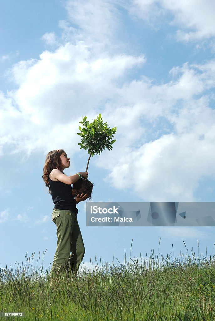 Meio ambiente - Foto de stock de Reflorestamento royalty-free