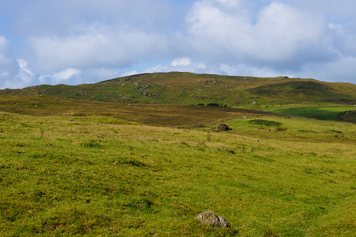 medium shot of Summer countryside landscape, Northern Ireland