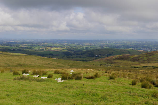 istock Summer countryside landscape, Northern Ireland 1571997575