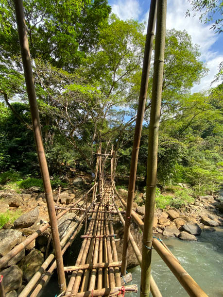 istock A pedestrian bridge made of bamboo. 1572012965