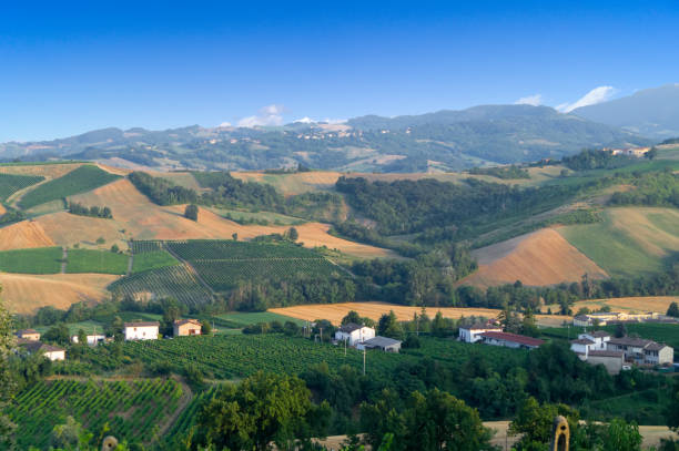 istock Tuscan hills under a blue sky, with vineyards trees 1572035789