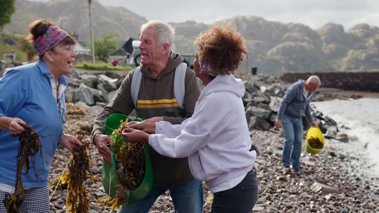 Leaving Healthy Seaweed Behind