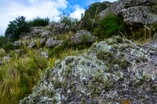 Quebrada del Condorito  National Park,Cordoba province, Argentina