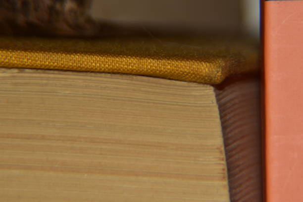 istock close up of a book paper sheets abstract texture background 1572073770