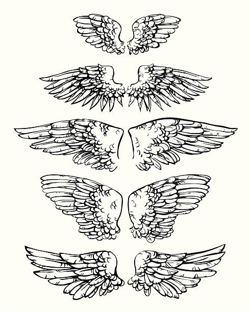 чернила sketch of heraldic wings - artificial wing wing eagle bird stock illustrations