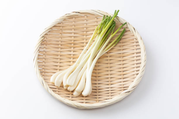 istock Japanese shallots on white background. 1572083945