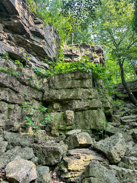 istock Magnificent limestone cliffs at High Cliff State Park in Wisconsin 1572096056