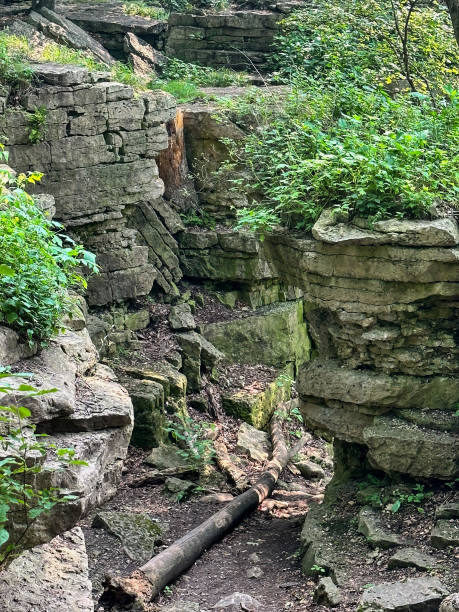 istock Magnificent limestone cliffs at High Cliff State Park in Wisconsin 1572096455