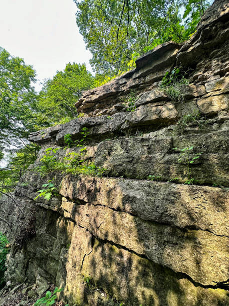 istock Magnificent limestone cliffs at High Cliff State Park in Wisconsin 1572096572