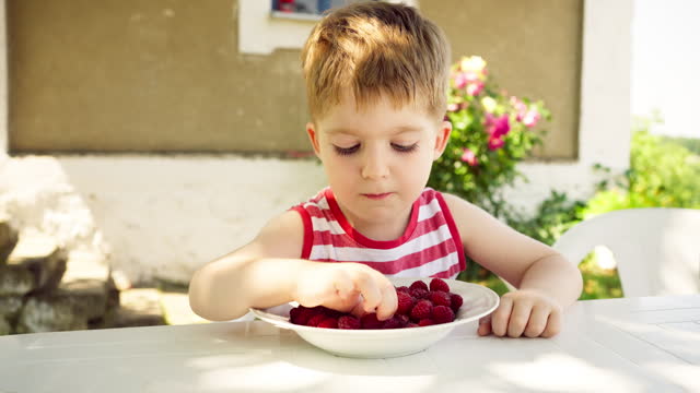 Boy eating raspberries