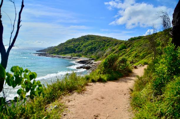 parco nazionale di noosa, queensland, australia - coastline noosa heads australia landscape foto e immagini stock