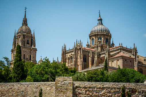 Beautiful View Of Old Cathedral In Salamanca, Spain