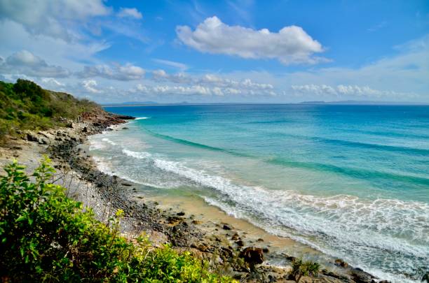 istock Noosa National Park, Queensland, Australia 1572125414