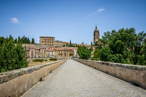 Roman Bridge On Tormes River In Salamanca, Spain