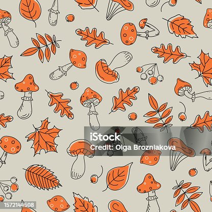istock Pattern Autumn set . 1572144508