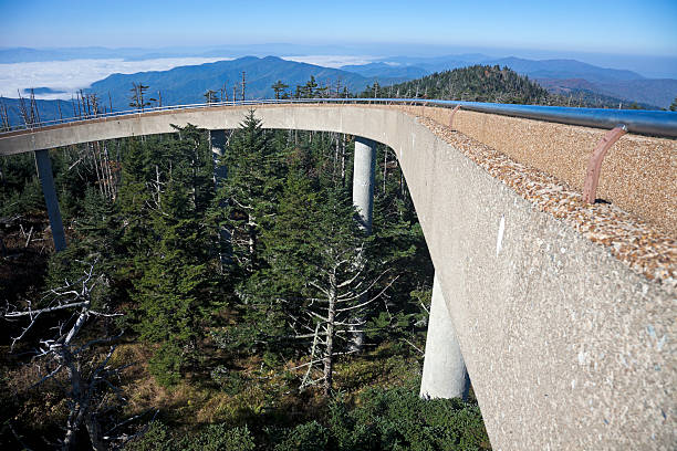 istock Clingmans Dome - Great Smoky Mountains National Park 157215012