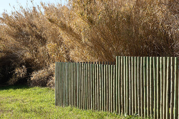 istock Wood fence 157215181