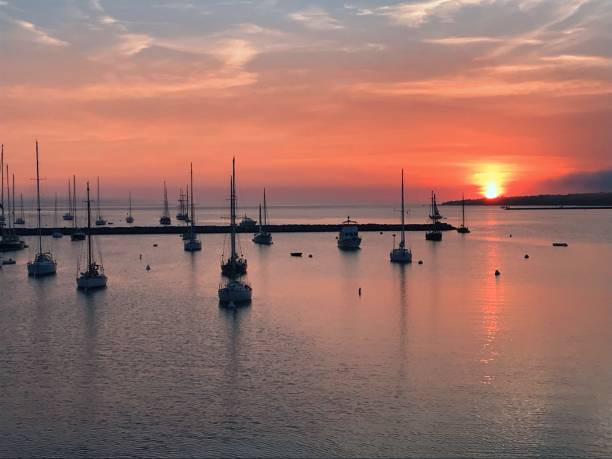 istock Sail Boats Martha's Vineyard at Sunset or Sunrise 1572155561