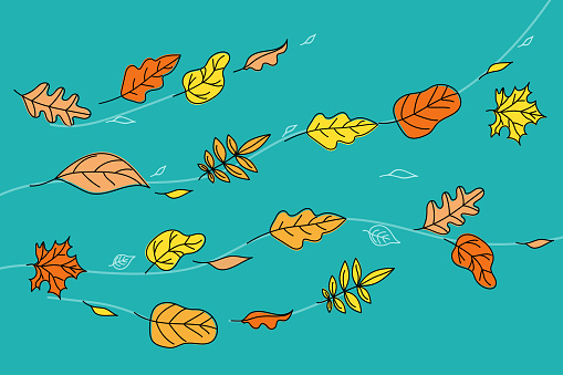 Autumn Leaves Set. Banner, background with leaves.  Autumn wind. Leaves flying. Doodle style drawings. Color vector illustration, isolated background.
