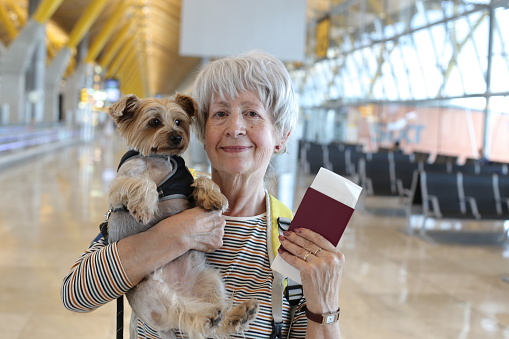 A cute senior woman in her sixties traveling with her dog. She stands at the terminal holding her ticket, her passport and her Yorkshire Terrier.