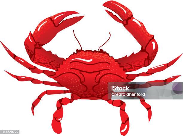 Crabe Rouge Vecteurs libres de droits et plus d'images vectorielles de Crabe - Crabe, Crabe - Crustacé, Objet ou sujet détouré