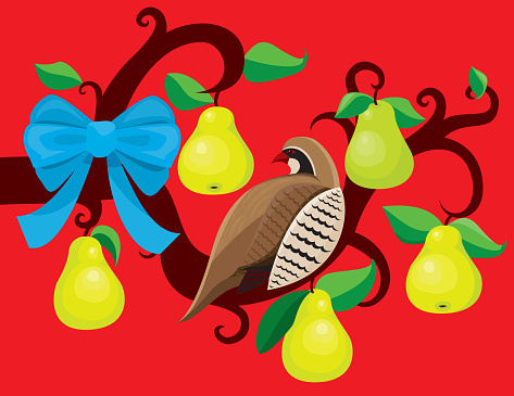 A partridge in a pear tree for the first day of Christmas. No gradients used.