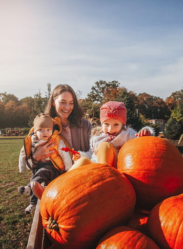 A 5 year old Hispanic boy playing in a pumpkin patch. He is surrounded by pumpkins, looking at the camera, laughing and shouting.