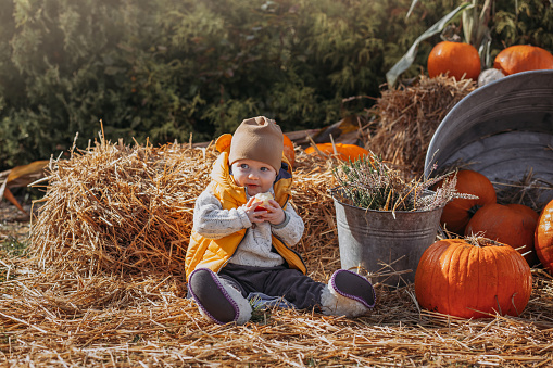 A toddler on a pumpkin farm with a large orange pumpkin, nice sunny family day at a pumpkin patch farm, family time well spent