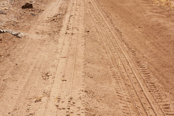 istock Tire tracks in the sandy soil 1572245318