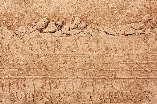 Tire tracks in the sandy soil