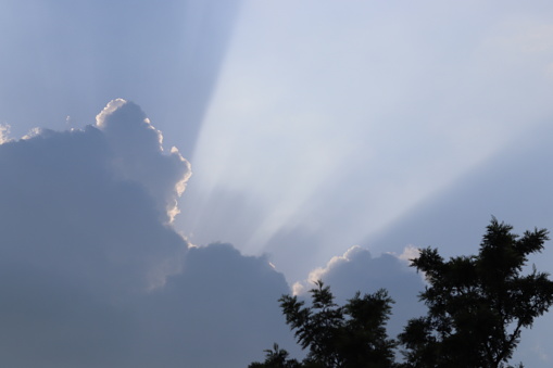 A Giant Cloud with Silver Lining of Sun Rays with Shadow of A tree branch