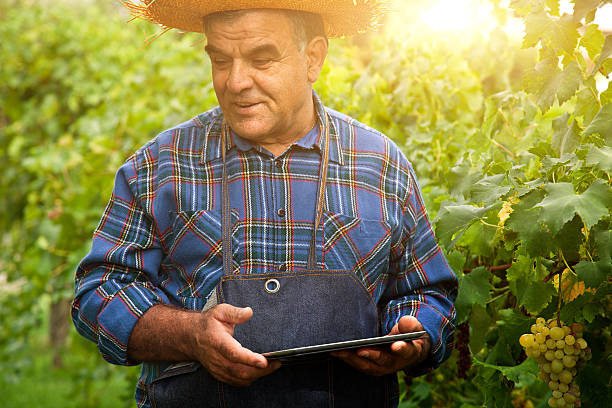 istock Farmer with a digital tablet in the vineyard 157226285