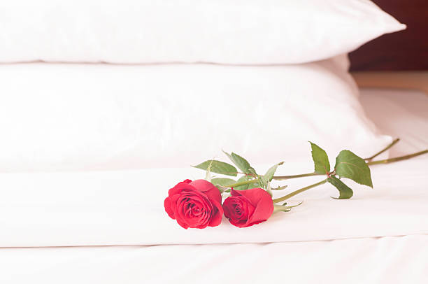 istock Romantic getaway with red roses on bed and pillow background 157226596