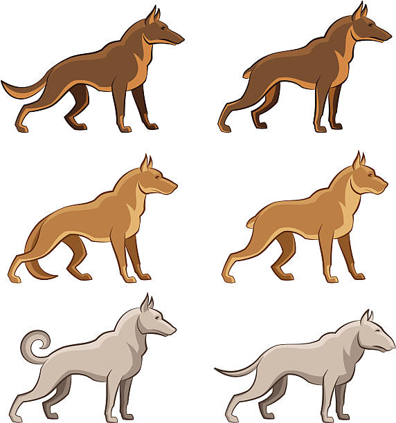 멍멍이 세트 - white background side view dog boxer stock illustrations