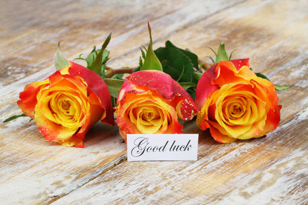 istock Good luck card with three colorful roses sprinkled with glitter on rustic wooden surface 1572282425