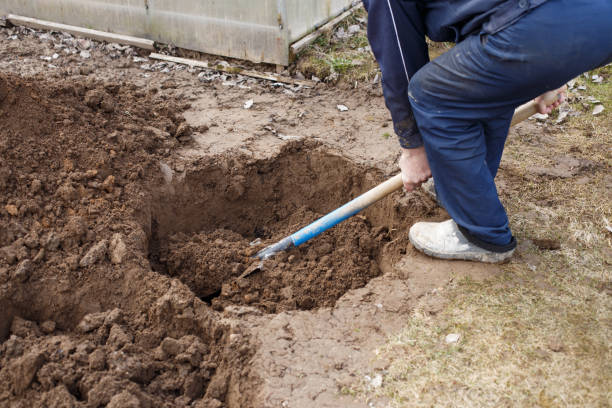 istock man digging a hole for planting a fruit tree in the garden 1572294312