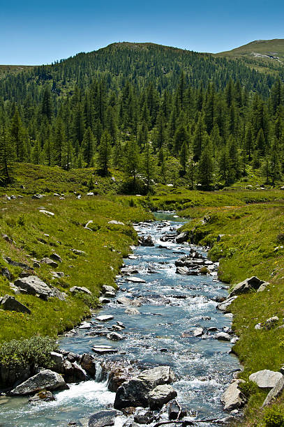 istock Alpe Devero, views of the river and forest 157229492