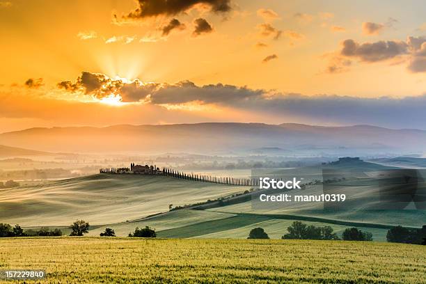 Photo libre de droit de Tuscany Ferme Le Matin banque d'images et plus d'images libres de droit de Activité de loisirs - Activité de loisirs, Agriculture, Arbre