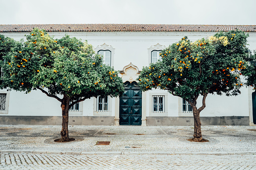 Orange trees against traditional Mediterranean city house building. Traditional urban exterior. Faro, Portugal. Selective focus