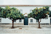 Orange trees against traditional Mediterranean city house building. Traditional urban exterior. Faro, Portugal. Selective focus.