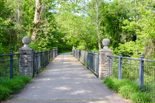 istock Footbridge in the Woods 1572303616
