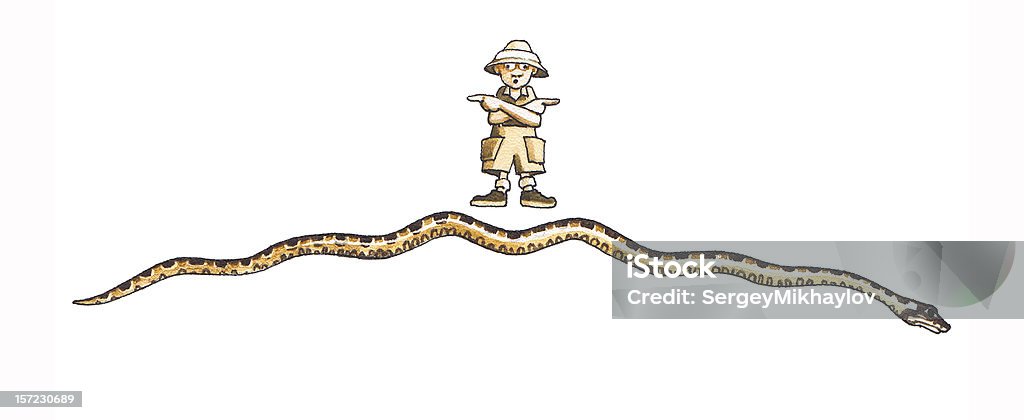 Anaconda (Eunectes murinus - Lizenzfrei Amazonas-Region Stock-Illustration