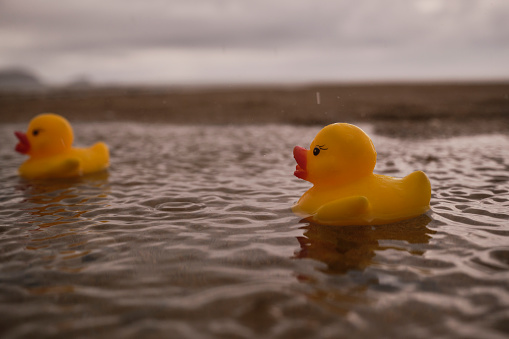 Bad luck, beach holiday in the pouring rain, 2 rubber ducks floating in a puddle on the beach in torrential rain.