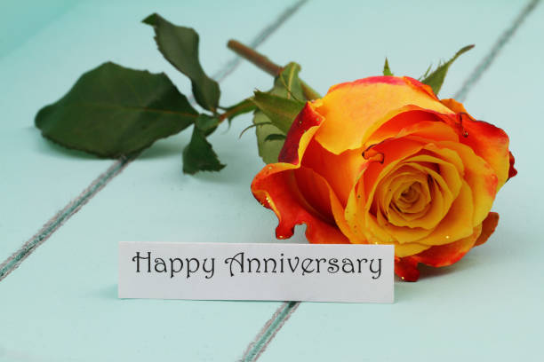 happy anniversary card with one red and yellow rose sprinkled with glitter on blue wooden surface - note rose image saturated color imagens e fotografias de stock