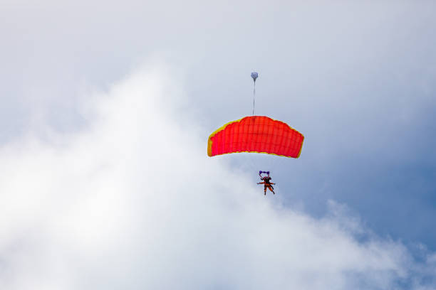 Jump in tandem skydivers-athletes with a parachute. High quality photo