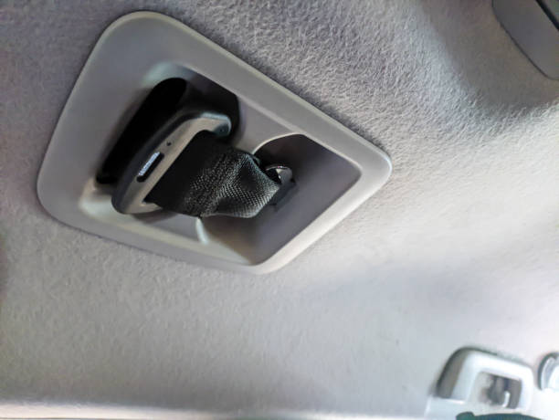 istock car seat belt for the back seat 1572338834