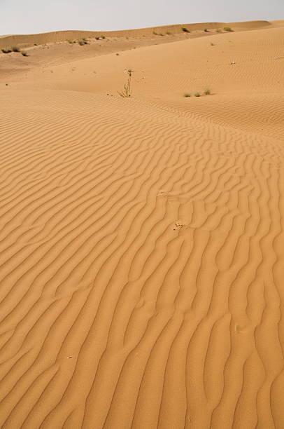 istock Osian,Thar desert,Rajasthan,India. 157235059