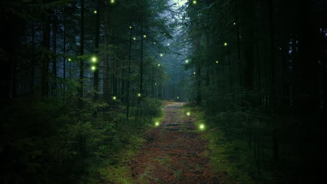 Magic flickering fireflies in the dark forest.