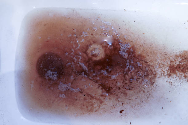 istock Clogged pipes in the bathroom 1572355703